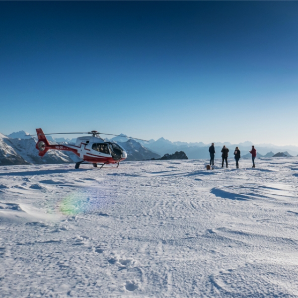 Survol des Alpes avec atterrissage sur un glacier & apéritif