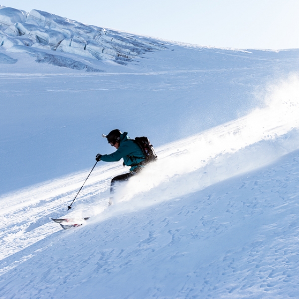 Heliski Petersgrat (con discesa verso Stechelberg)